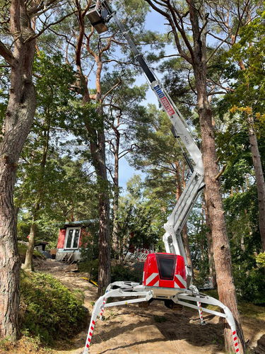 Arbeitsbühne DINO 220XTC II